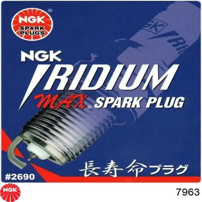 Bujías NGK 7963 precio, desde 40,01 EUR