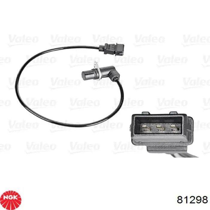 Volkswagen Passat 3A5, 351, 315