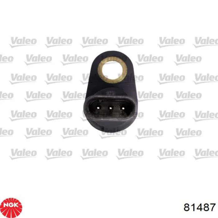 Sensor de árbol de levas NGK 81487 precio, desde 25,18 EUR