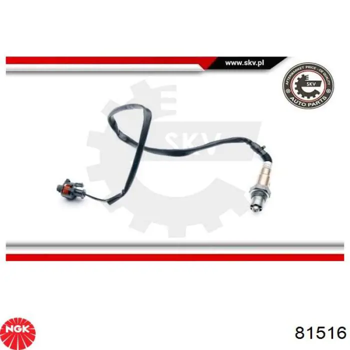 Sensor velocimetro NGK 81516 precio, desde 36,03 EUR