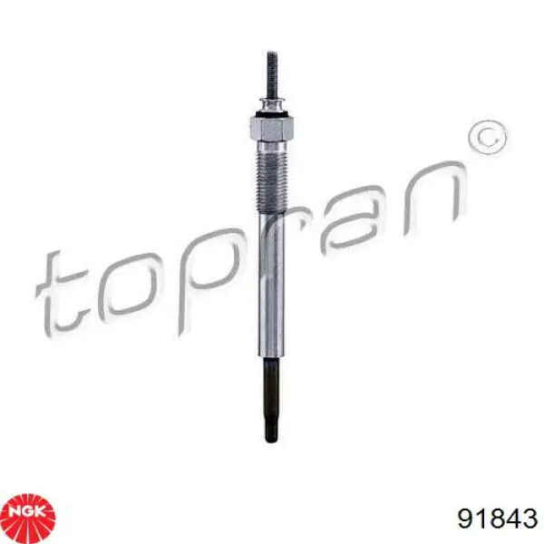 Comprar 91843 NGK Calentadores diésel