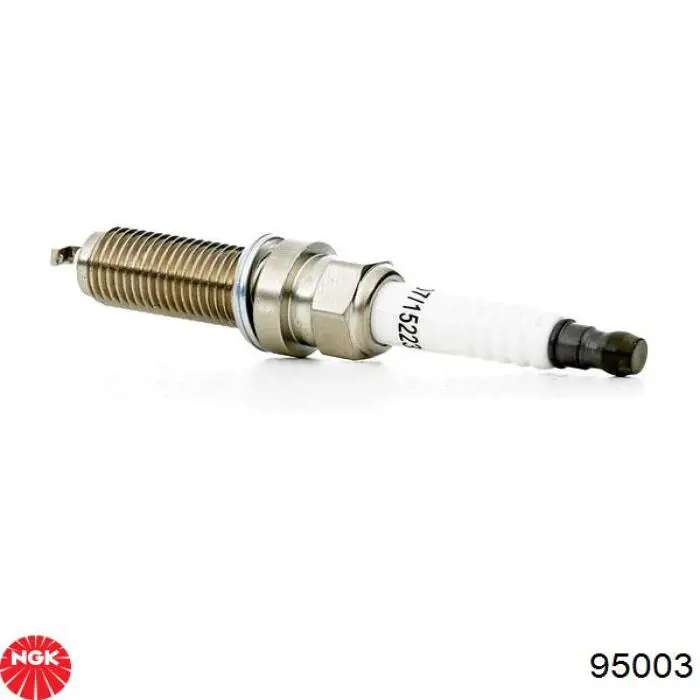 Bujías NGK 95003 precio, desde 55,28 EUR