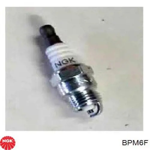 Bujías NGK BPM6F precio, desde 6,89 EUR