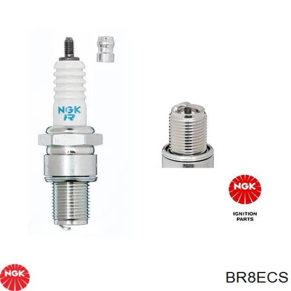 Comprar BR8ECS NGK Bujía de encendido