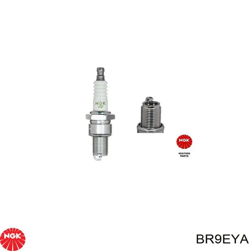 Bujías NGK 7548 precio, desde 6,97 EUR