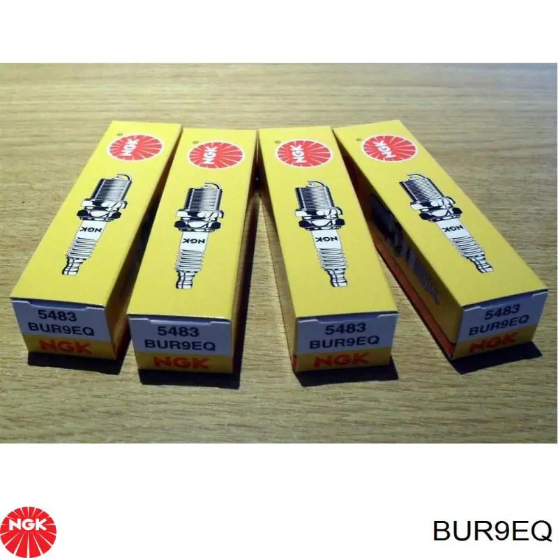 Bujías NGK BUR9EQ precio, desde 24,03 EUR