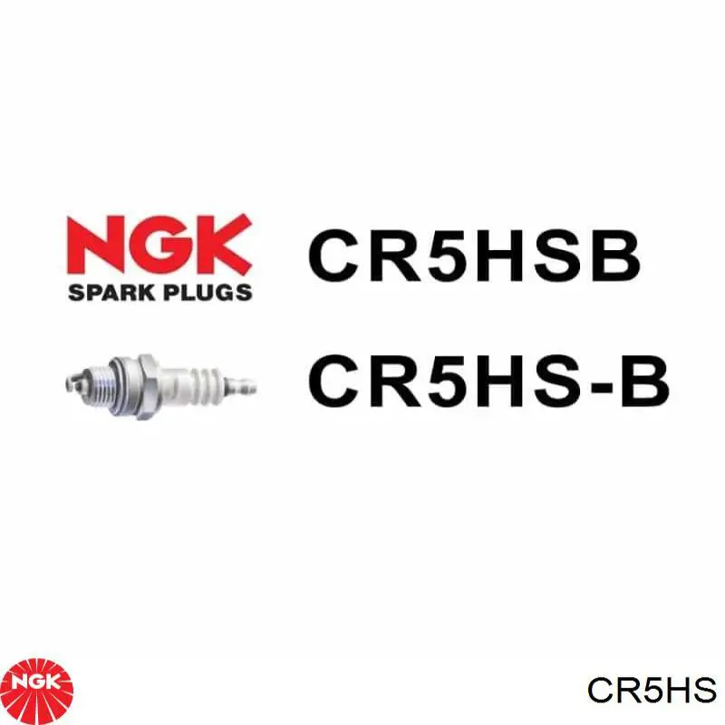 Comprar CR5HS NGK Bujía de encendido