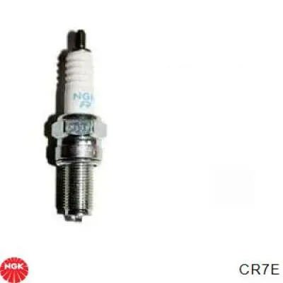 Comprar 4509 NGK Bujía de encendido