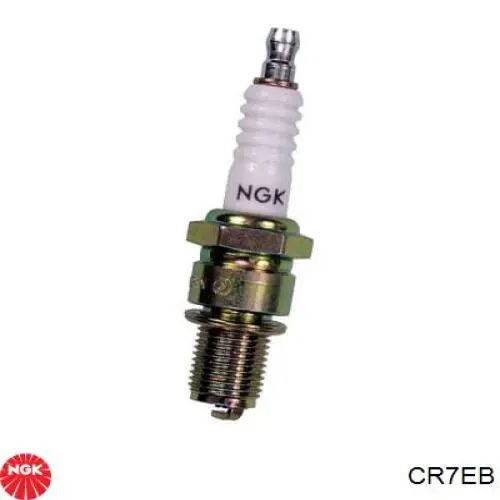 Bujias de encendido NGK 4509