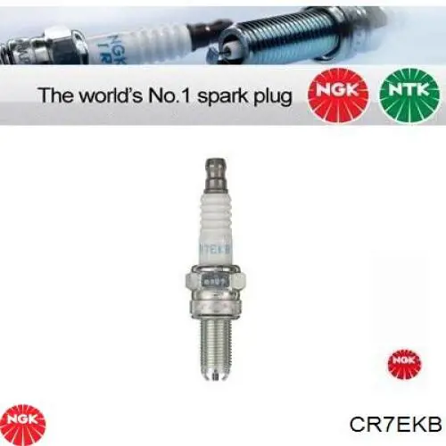 Bujías NGK CR7EKB precio, desde 26,83 EUR