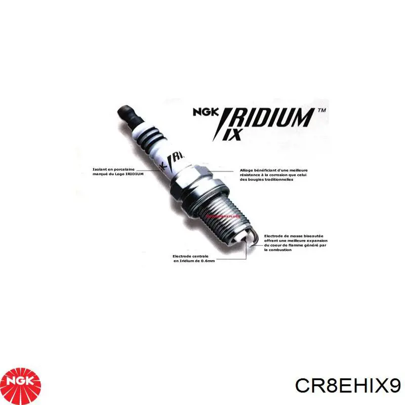 Bujías NGK CR8EHIX9 precio, desde 19,22 EUR