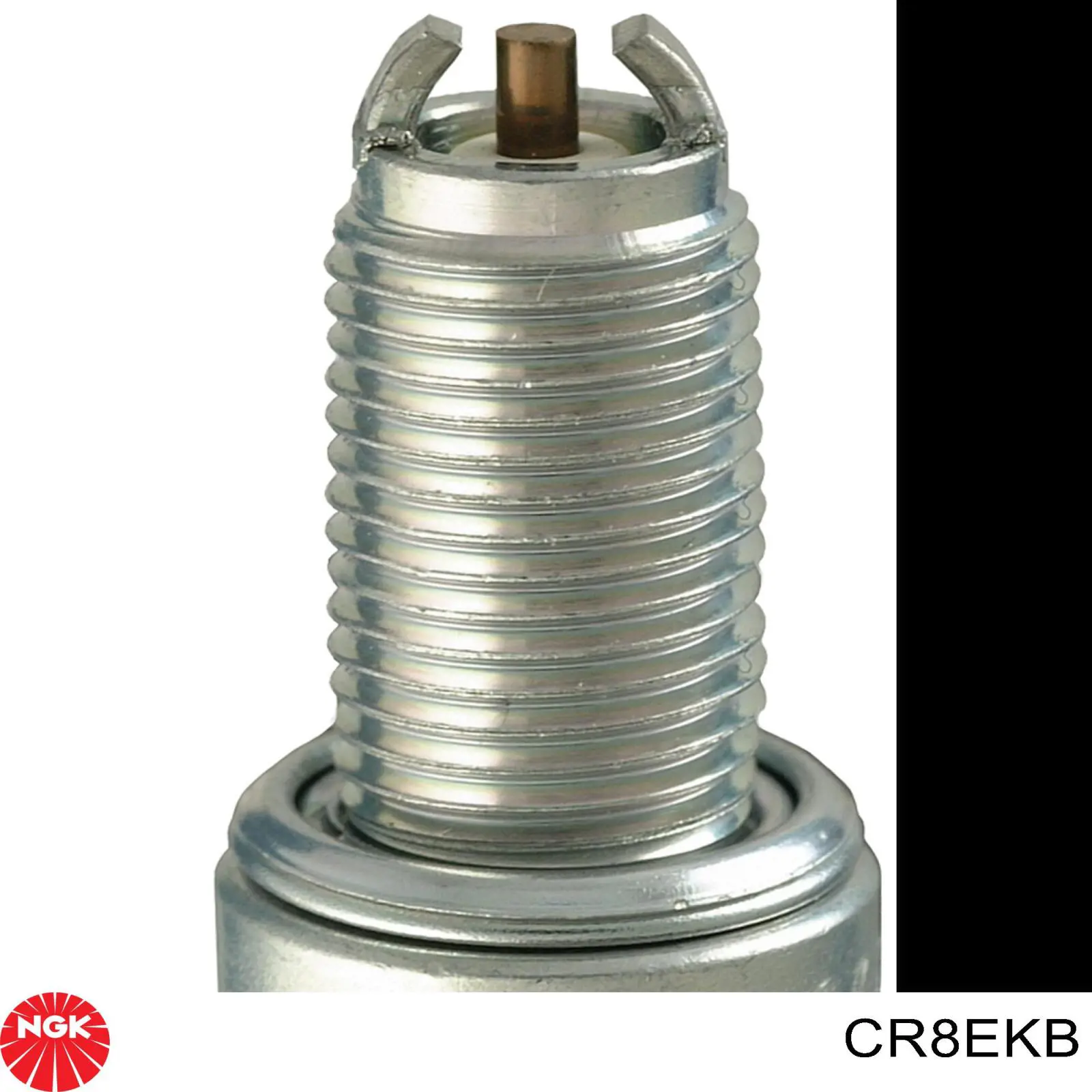 Bujías NGK CR8EKB precio, desde 19,22 EUR