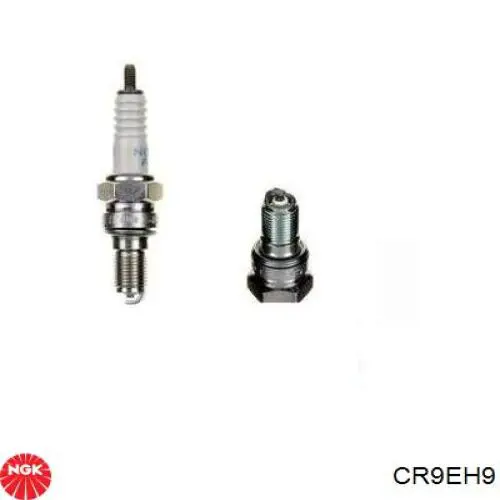 Bujías NGK CR9EH9 precio, desde 24,40 EUR