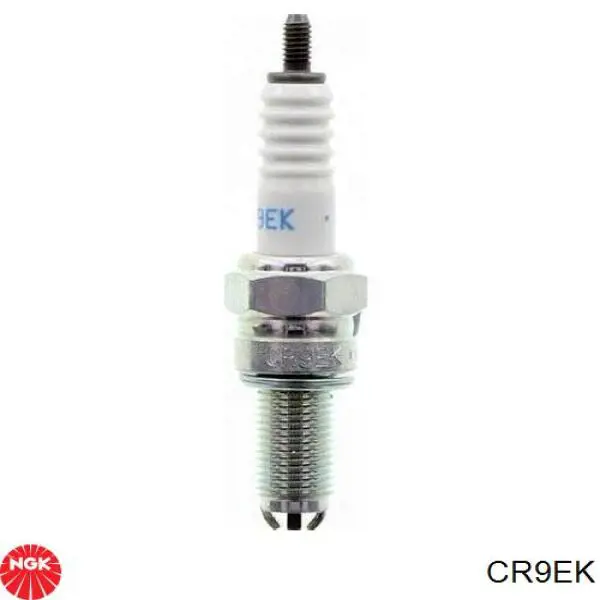 5600 NGK Bujía de ignición