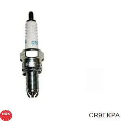 Bujías NGK CR9EKPA precio, desde 48,36 EUR