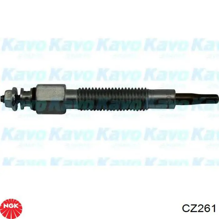 CZ261 NGK bujía de incandescencia