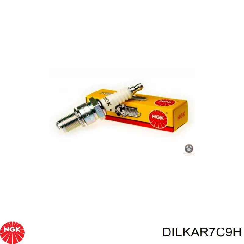 DILKAR7C9H NGK Bujía de ignición