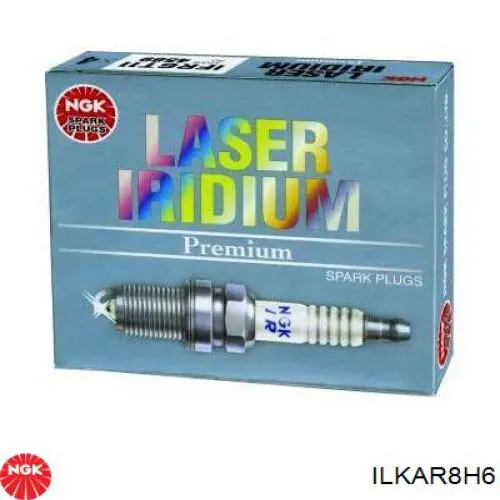 Bujías NGK ILKAR8H6 precio, desde 27,06 EUR