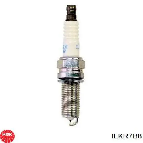 Bujías NGK ILKR7B8 precio, desde 12,67 EUR