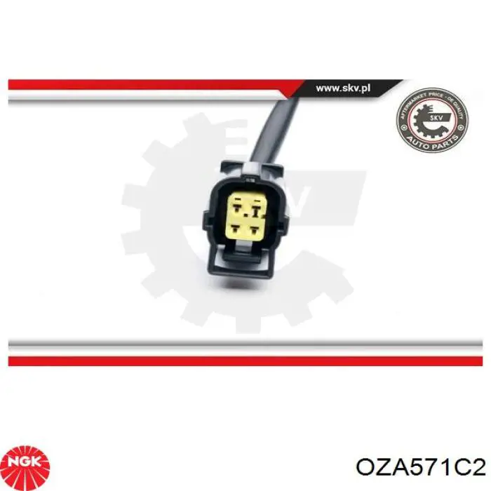 OZA571C2 NGK sonda lambda sensor de oxigeno para catalizador