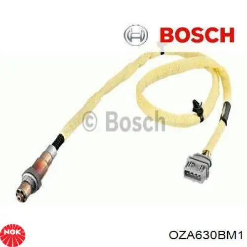 OZA630BM1 NGK sonda lambda