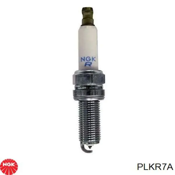 Bujías NGK PLKR7A precio, desde 19,21 EUR