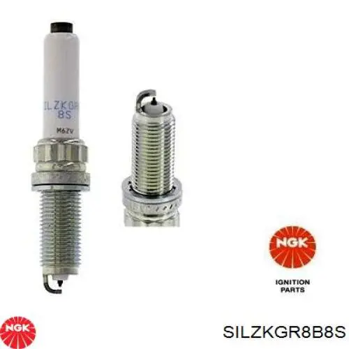 Bujías NGK SILZKGR8B8S precio, desde 18,76 EUR