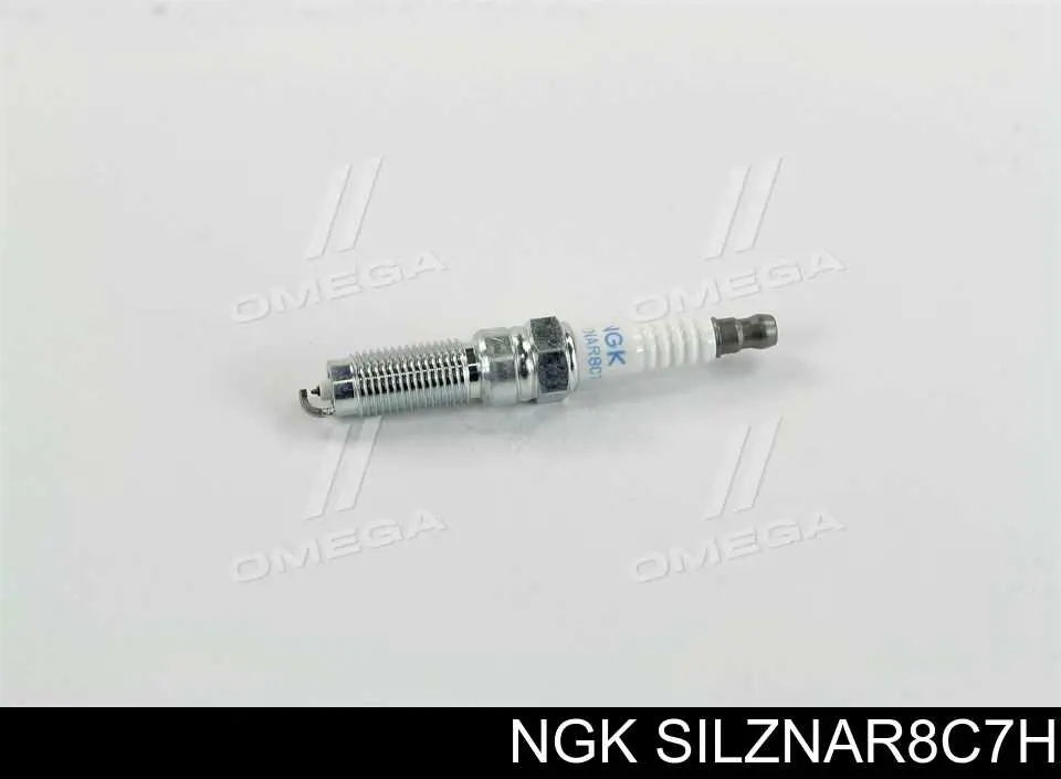 Bujías NGK SILZNAR8C7H precio, desde 19,09 EUR
