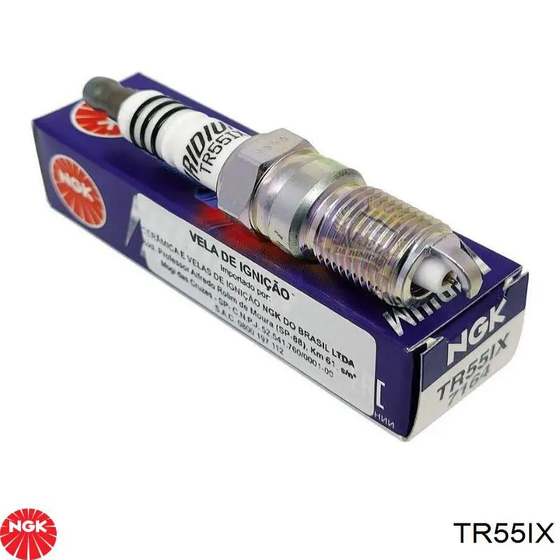 Bujía TR55IX NGK