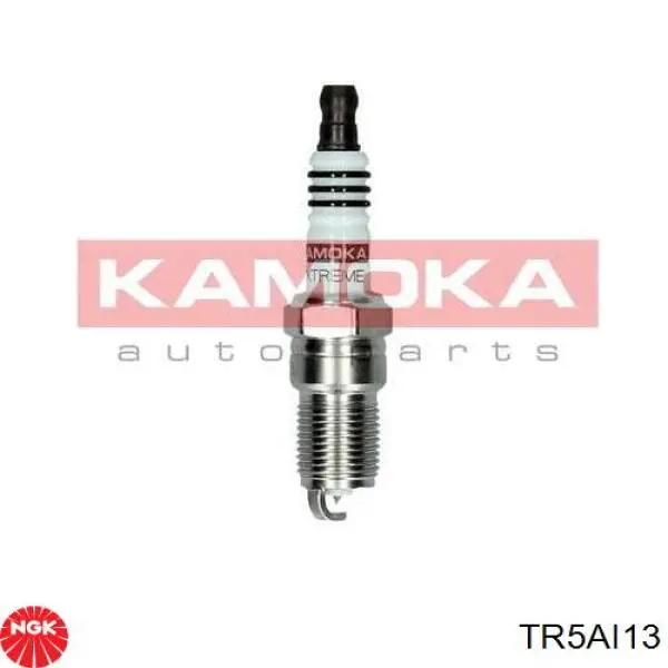 TR5AI13 NGK Bujía de ignición