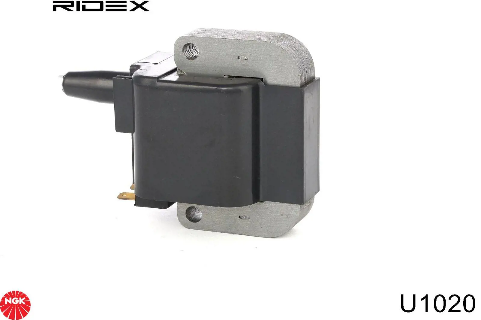 Comprar 15309 Angli Bobina