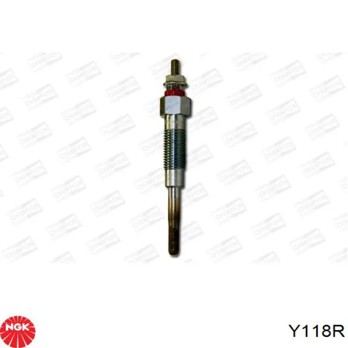 Y118R NGK