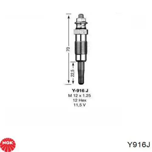 Comprar Y916J NGK Calentadores diésel