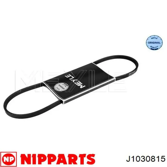 Correa accesorios INA FB3PK815