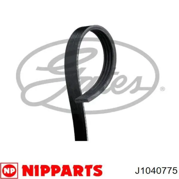 Correa de transmisión trapezoidal Renault (RVI) 2812321920 precio, desde 6,30 EUR