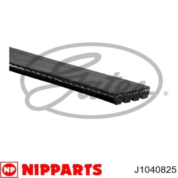 Correa trapezoidal Honda Civic 6 EJ9, EK3/4