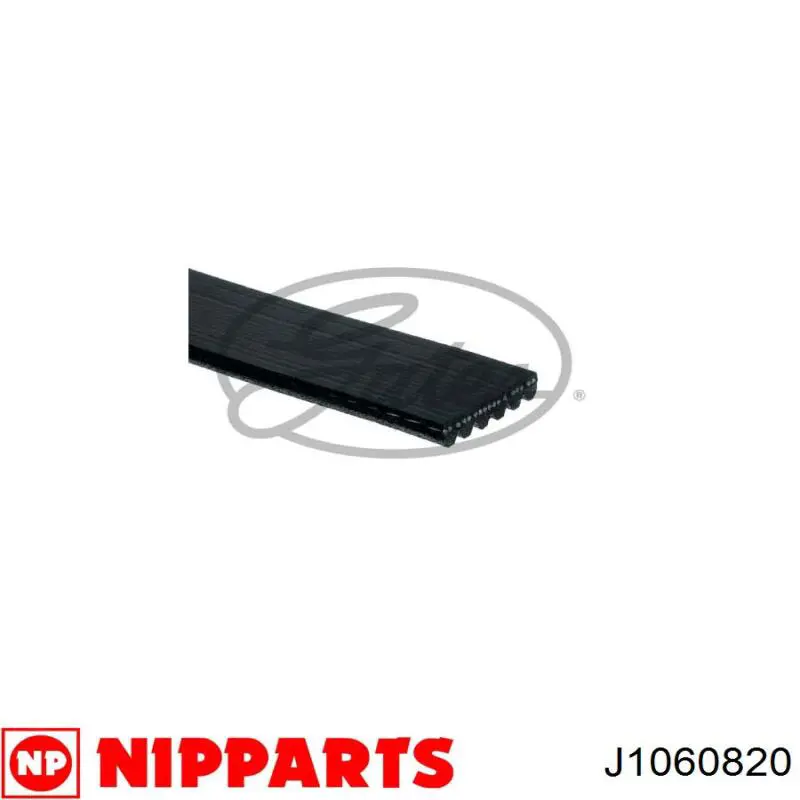 Correa de alternador 117209F600 Nissan/Infiniti