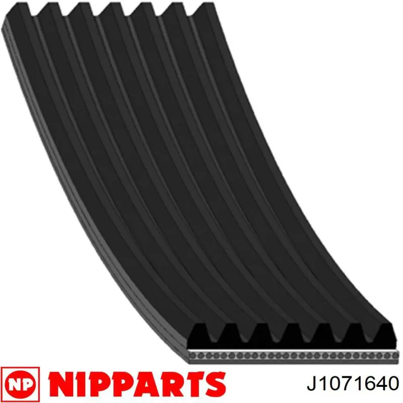 J1071640 Nipparts correa trapezoidal