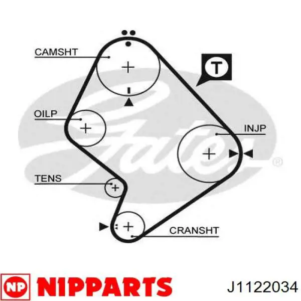 Correa distribución J1122034 Nipparts