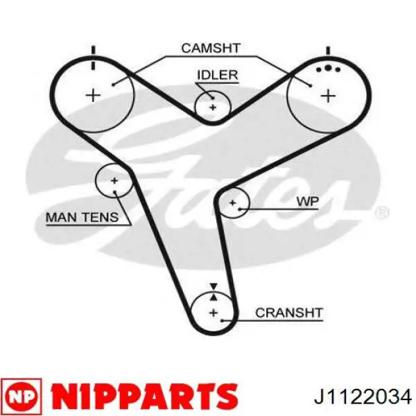 Correa de distribución Nipparts J1122034 precio, desde 32,25 EUR