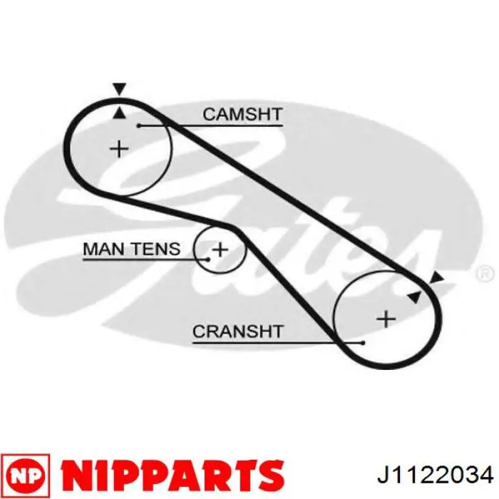 Comprar J1122034 Nipparts Correa distribución