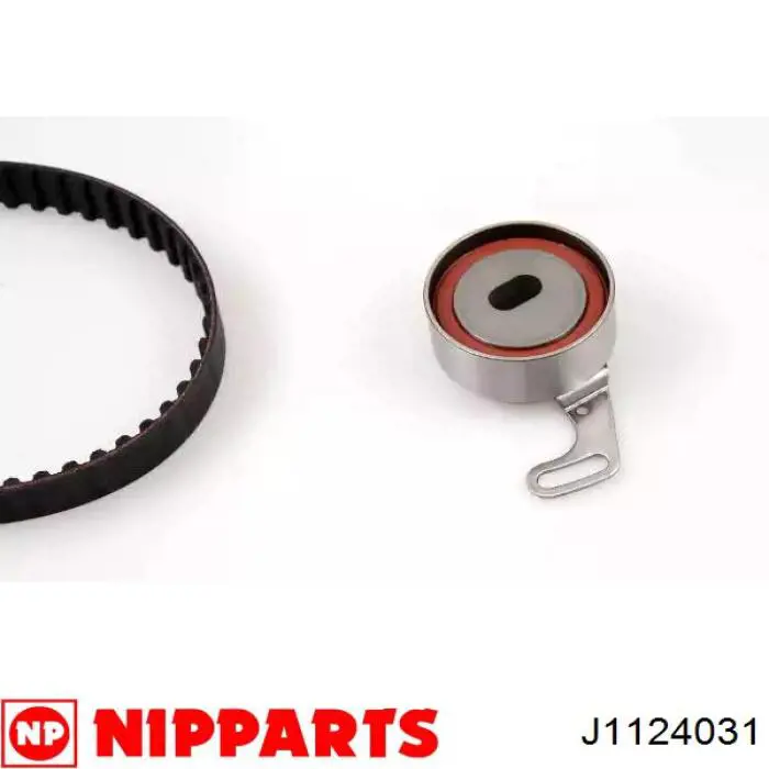 Comprar J1124031 Jakoparts Correa distribución
