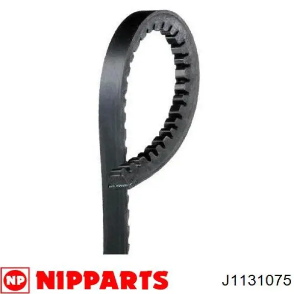 Correa de alternador 13X1055 Continental/Siemens