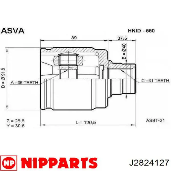 J2824127 Nipparts junta homocinética exterior delantera