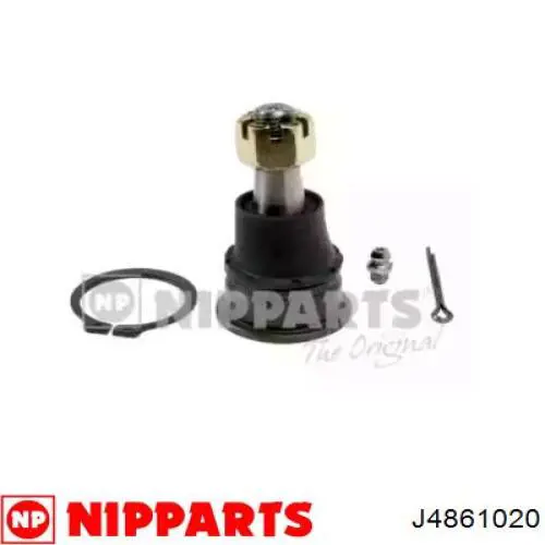 Rótula inferior de suspensión J4861020 Nipparts