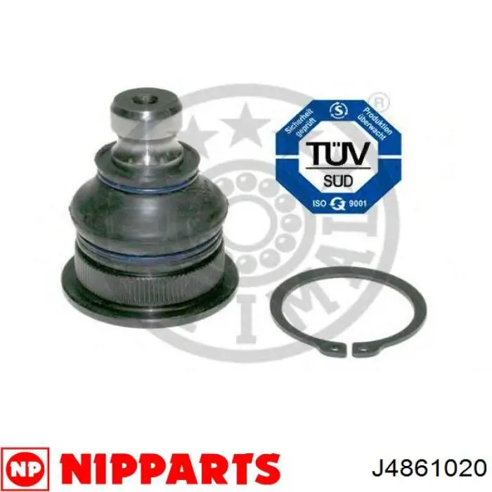 Rótula inferior de suspensión Nipparts J4861020 precio, desde 13,49 EUR
