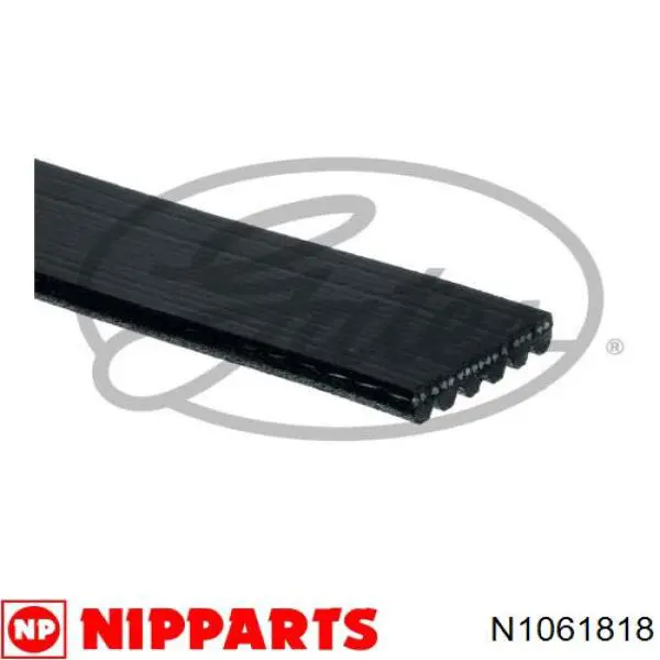 N1061818 Nipparts correa trapezoidal