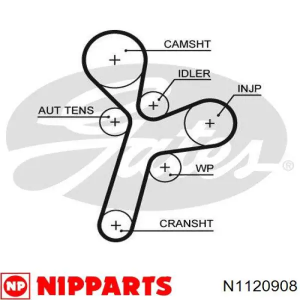 N1120908 Nipparts correa distribucion