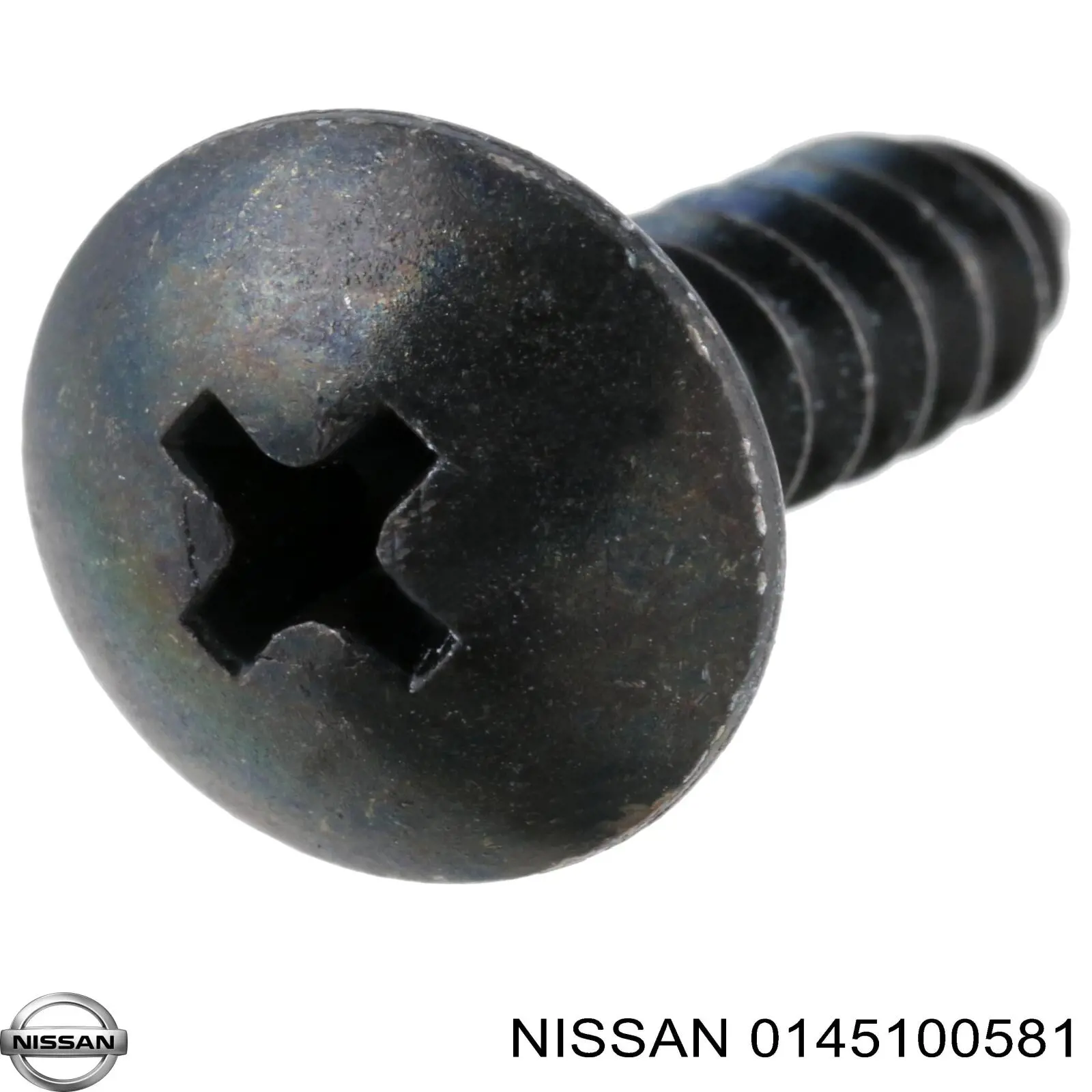 0145100581 Nissan