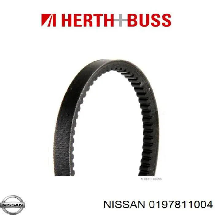 Correa trapezoidal Ford Ranger ET